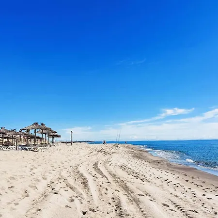 Caraibes-1 By Interhome Apartment Le Barcares